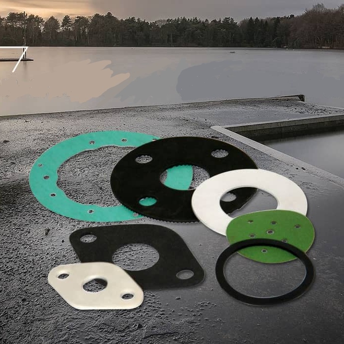 ពូជនៃ gaskets និងវិសាលភាពនៃកម្មវិធីរបស់ពួកគេ
